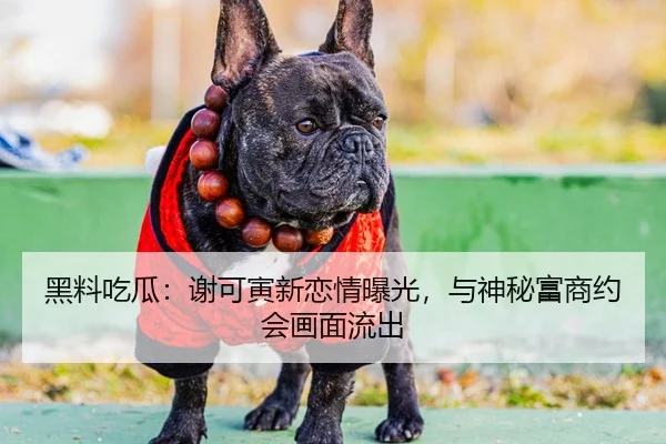 黑料吃瓜：谢可寅新恋情曝光，与神秘富商约会画面流出